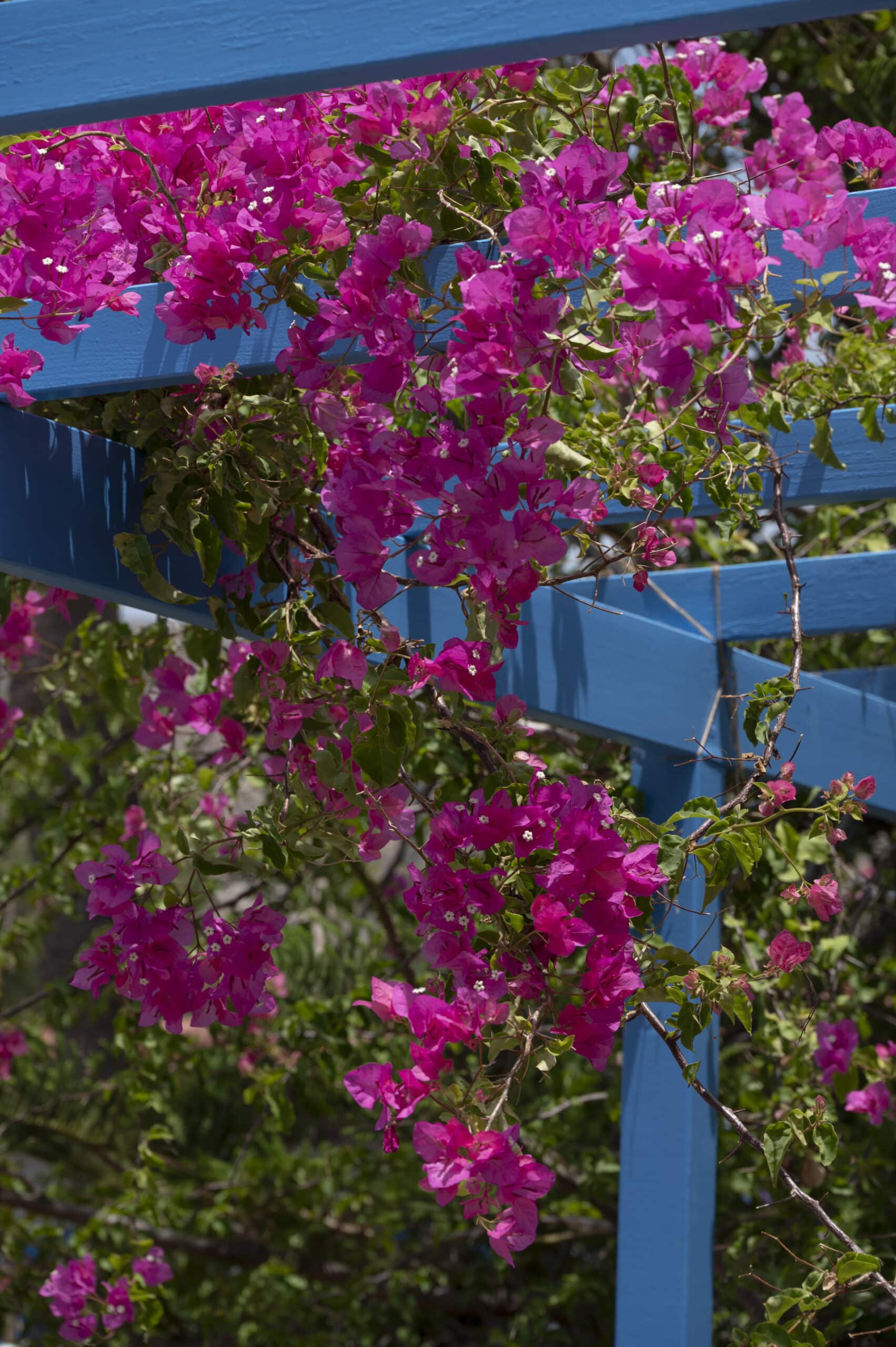 Doğa & Aktiviteler detay